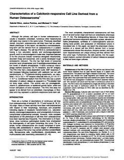 Characteristics of a Calcitonin-responsive Cell Line Derived from a