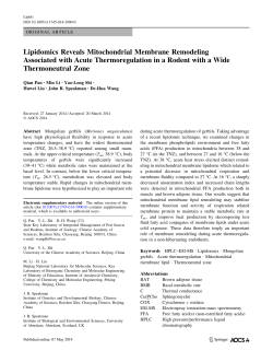 Lipidomics Reveals Mitochondrial Membrane Remodeling