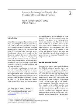 Immunohistology and Molecular Studies of Sweat Gland Tumors