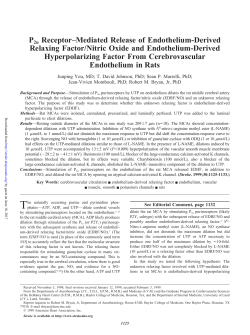 P2u Receptor&ndash;Mediated Release of Endothelium-Derived