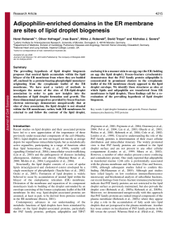 Adipophilin-enriched domains in the ER membrane are sites of lipid