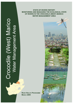 Crocodile (W est) Marico