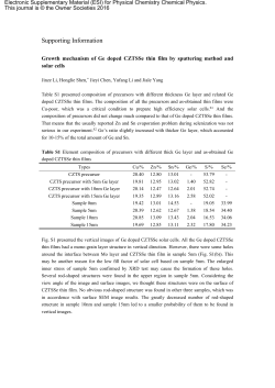 Supporting Information