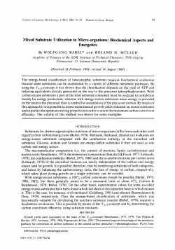 Mixed Substrate Utilization in Micro