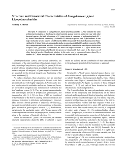 Structure and Conserved Characteristics of Campylobacter jejuni