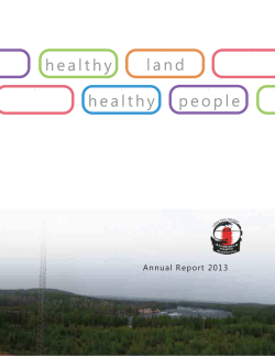 2013 Annual Report - athabascahealth.ca