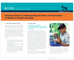 IFAW`s Practical Guide to Understanding the Risks and Prevention
