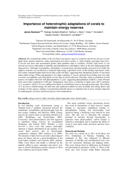 Importance of heterotrophic adaptations of corals to maintain energy