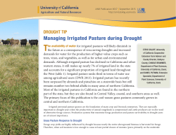 Managing Irrigated Pasture during Drought
