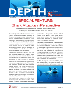 SPECIAL FEATURE: Shark Attacks in Perspective