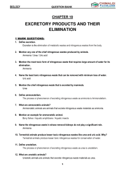 Chapter 19 Excretory Products and their Elimination Question Bank