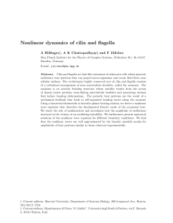 Nonlinear dynamics of cilia and flagella