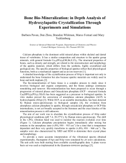 Bone Bio-Mineralization: in Depth Analysis of Hydroxylapatite