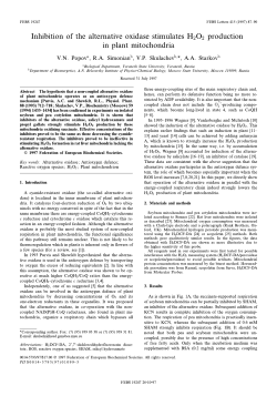 Inhibition of the alternative oxidase stimulates H2O2