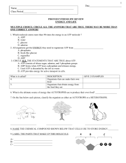 Photosynthesis HW - Science is Forever