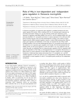 Role of Hfq in iron-dependent and -independent gene regulation in