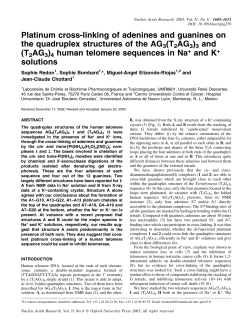 Platinum cross-linking of adenines and guanines