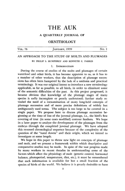 an approach to the study of molts and plumages