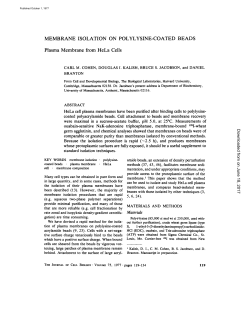 MEMBRANE ISOLATION ON POLYLYSINE