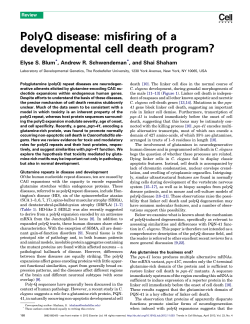 PolyQ disease: misfiring of a developmental cell death program?