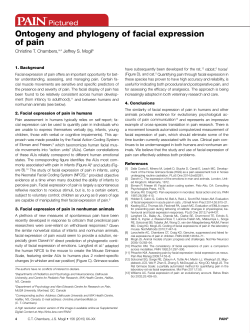 Ontogeny and phylogeny of facial expression of pain