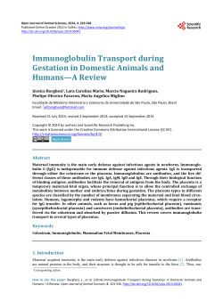 Immunoglobulin Transport during Gestation in Domestic Animals