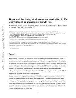 DnaA and the timing of chromosome replication in Escherichia coli