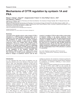 Syntaxin 1A and PKA regulation of CFTR
