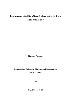 Folding and stability of type 1 pilus subunits from - ETH E