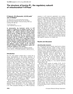 The structure of bovine IF1, the regulatory subunit of mitochondrial F