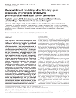Computational modeling identifies key gene regulatory interactions