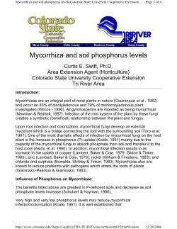 Mycorrhiza and soil phosphorus levels