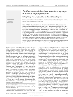 Bacillus velezensis is a later heterotypic synonym of Bacillus