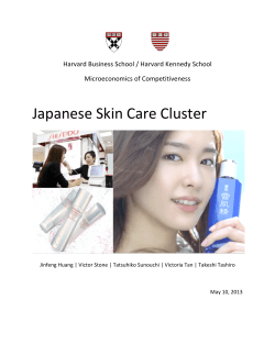Japanese Skin Care Cluster - Institute For Strategy And