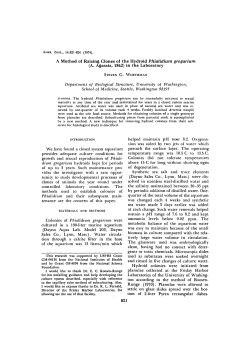A Method of Raising Clones of the Hydroid Phialidium gregarium (A