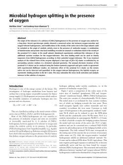 Microbial hydrogen splitting in the presence of oxygen