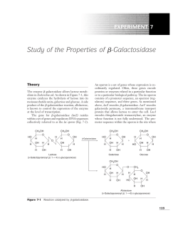 Chapter on enzyme kinetics including description of the experiment.