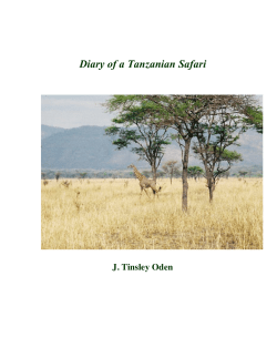 Diary of a Tanzanian Safari