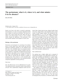 The periosteum: what is it, where is it, and what mimics it in its