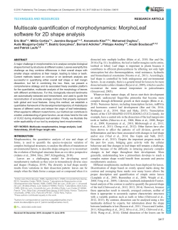 Multiscale quantification of morphodynamics