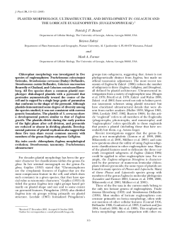 plastid morphology, ultrastructure, and development in colacium and