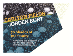 Fifty Shades of Indemnity