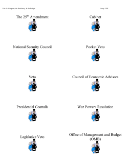 The 25th Amendment Cabinet National Security Council Pocket