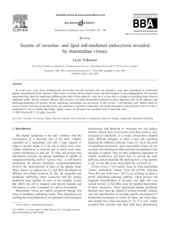 Secrets of caveolae- and lipid raft-mediated endocytosis revealed by