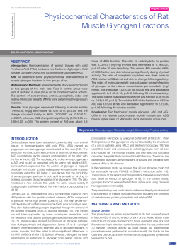 Physicochemical Characteristics of Rat Muscle Glycogen Fractions