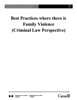 Best Practices where there is Family Violence (Criminal Law