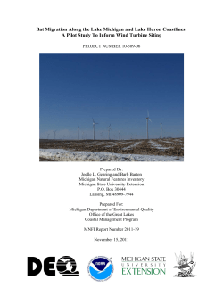 Bat Migration Along the Lake Michigan and Lake Huron Coastlines
