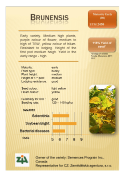 Early variety. Medium high plants, purple colour