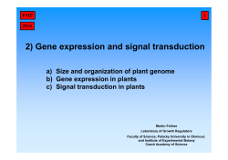 2) Gene expression and signal transduction