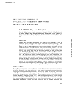 preferential staining of nucleic acid-containing structures for electron